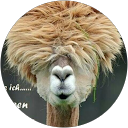Profilbild von „Sabine W.“